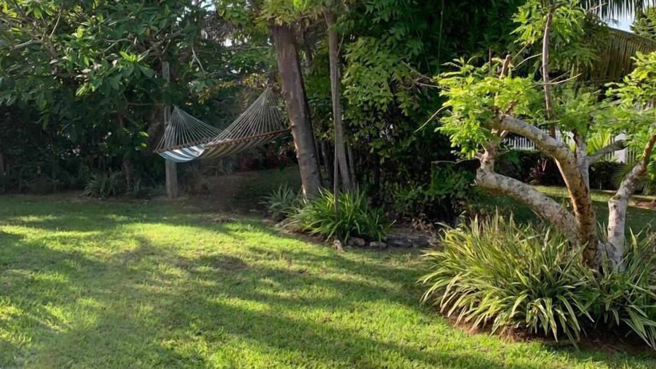 Photo of Others in Nassau