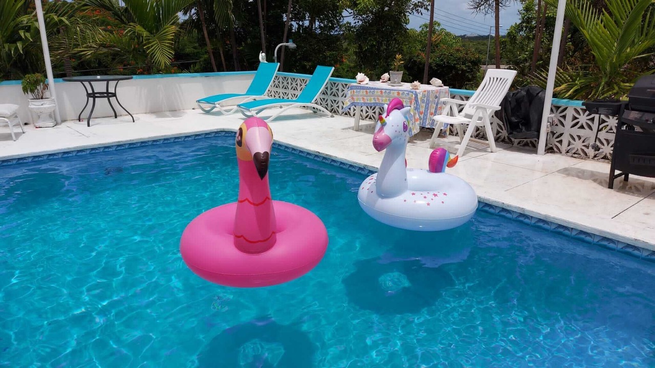 Photo of Others in Nassau