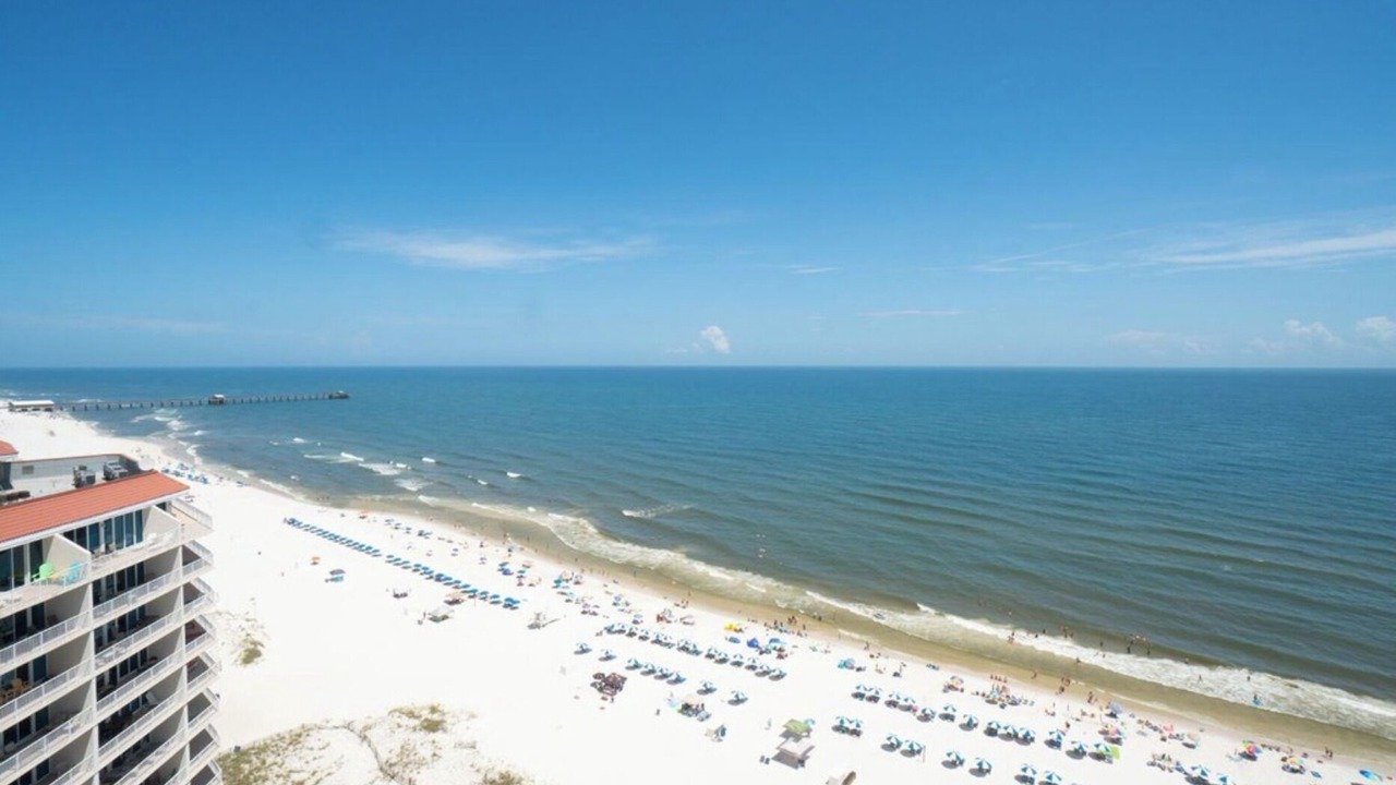 Photo of Others in Gulf Shores