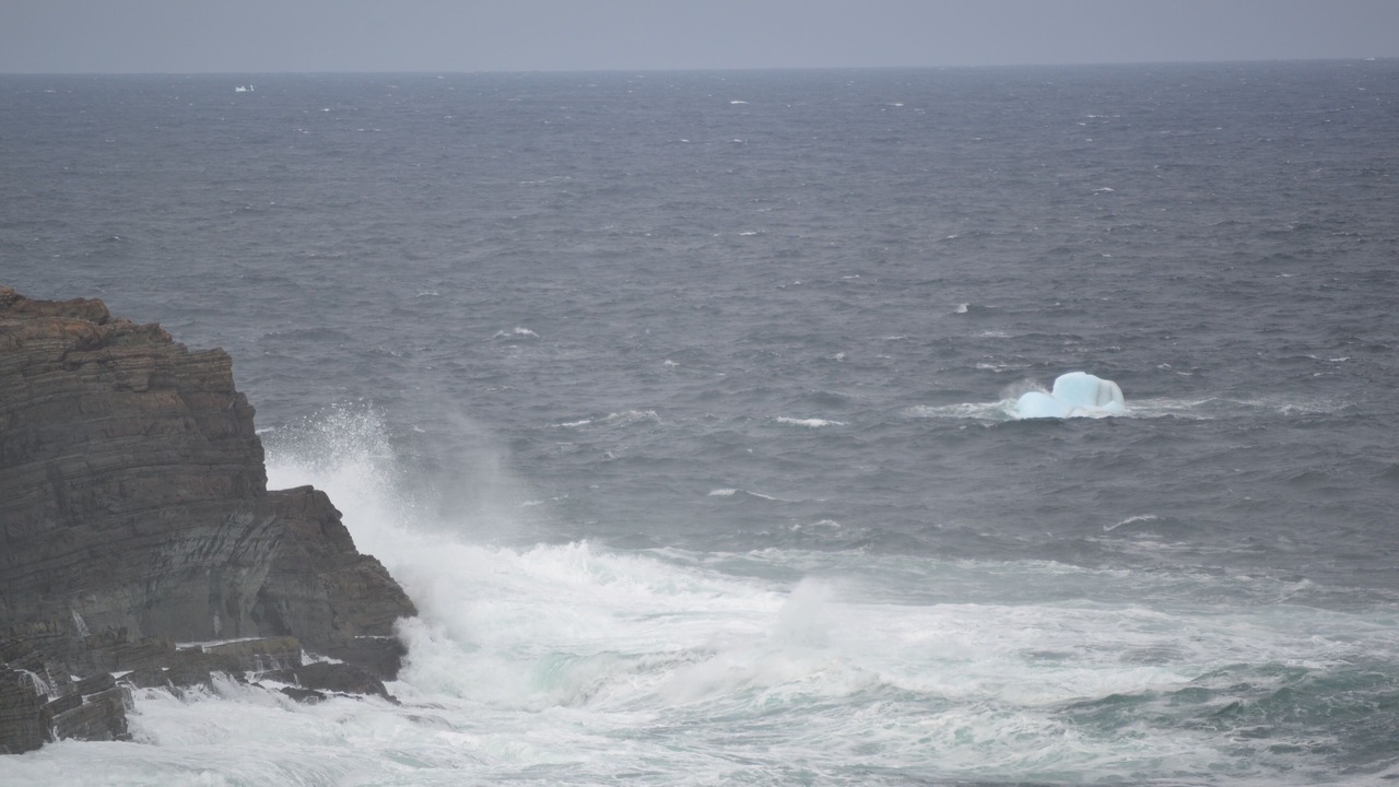 Photo of Others in Pouch Cove
