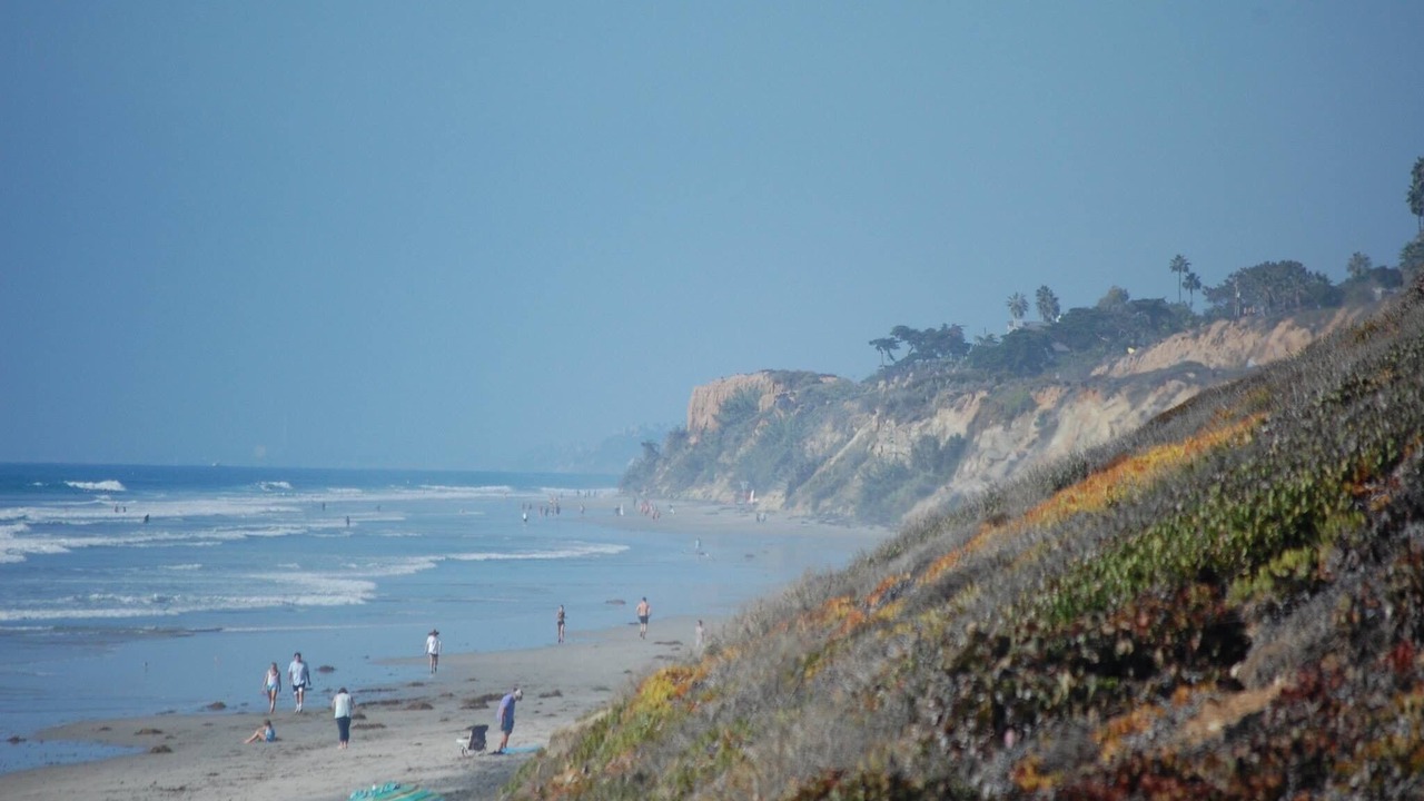 Photo of Others in Del Mar Heights