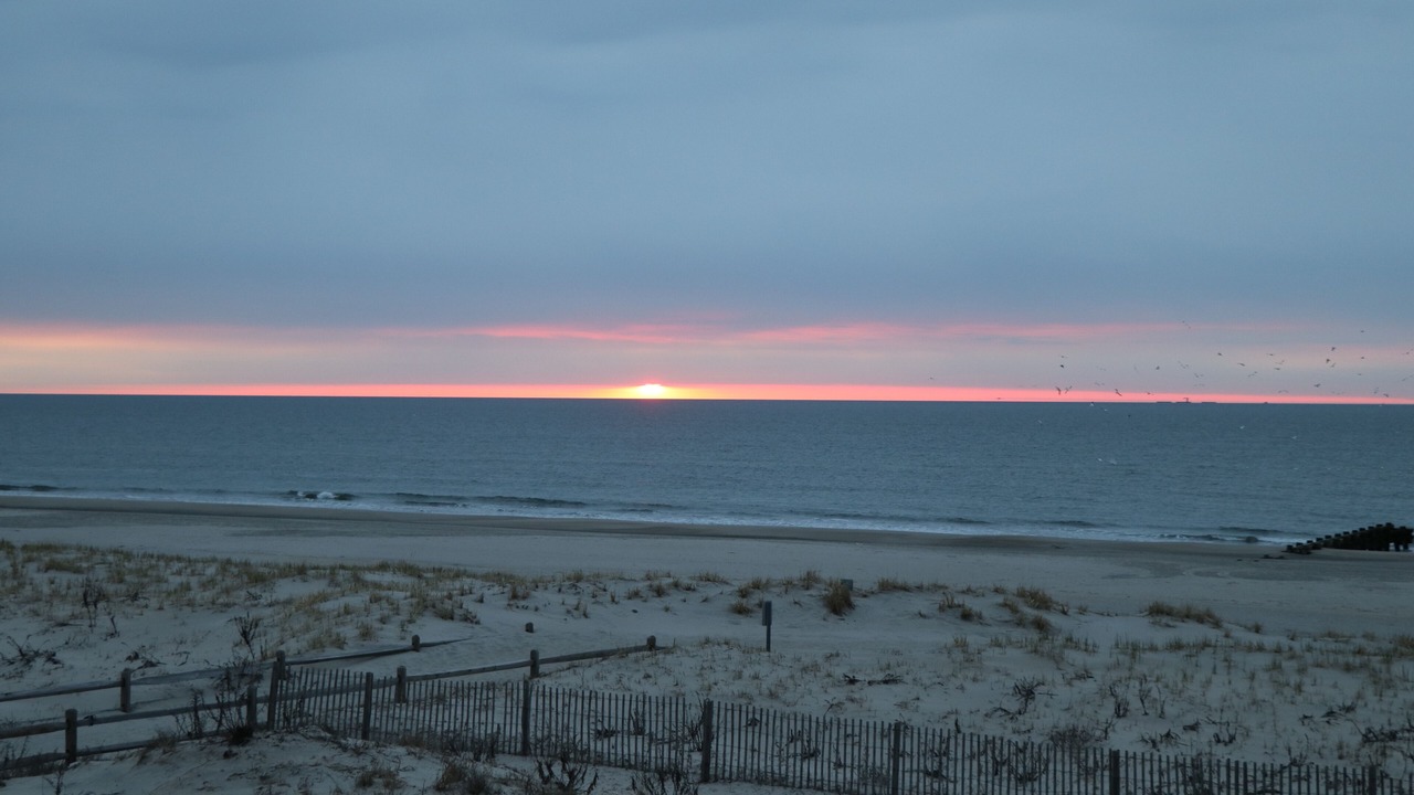 Photo of Others in Townsend's Inlet