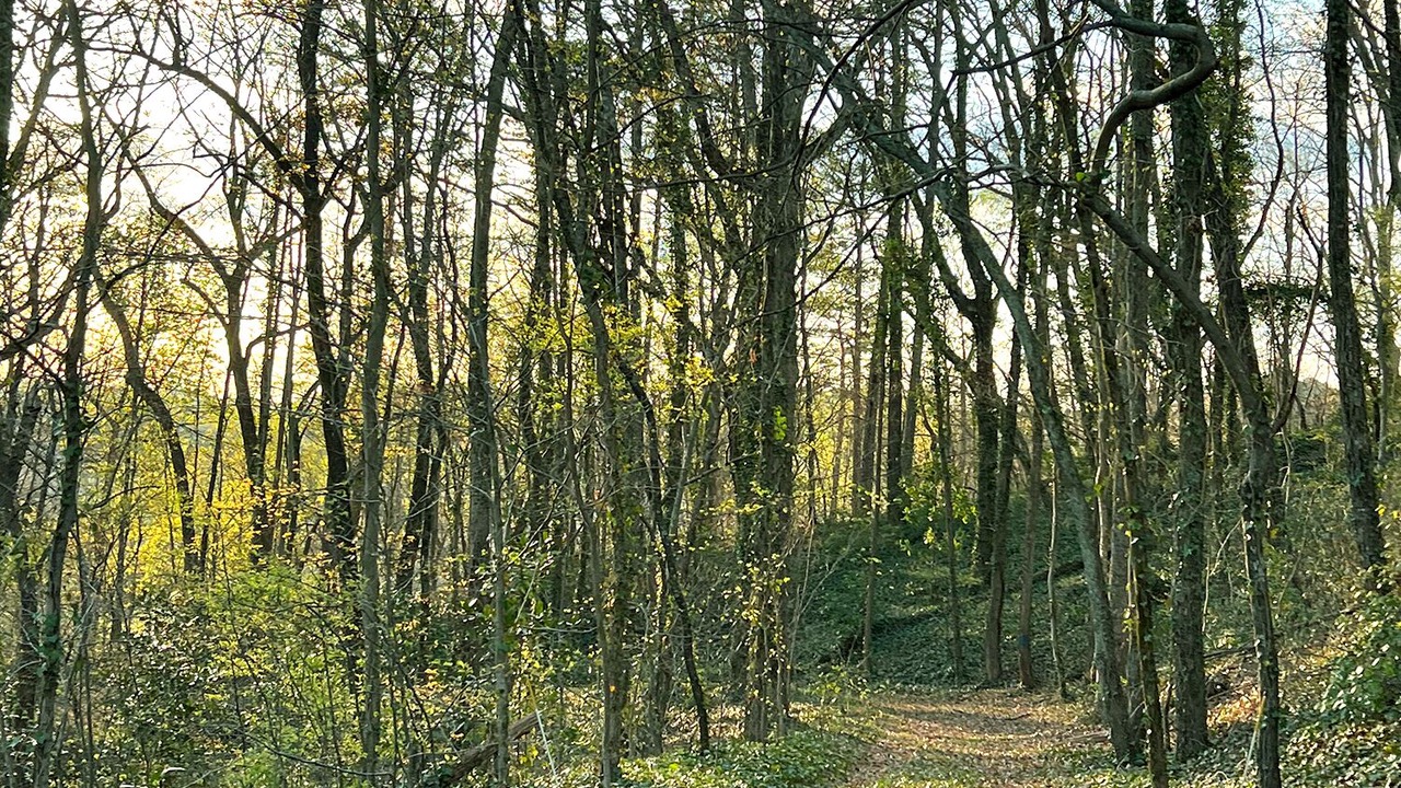 Photo of Outdoor in Lynn