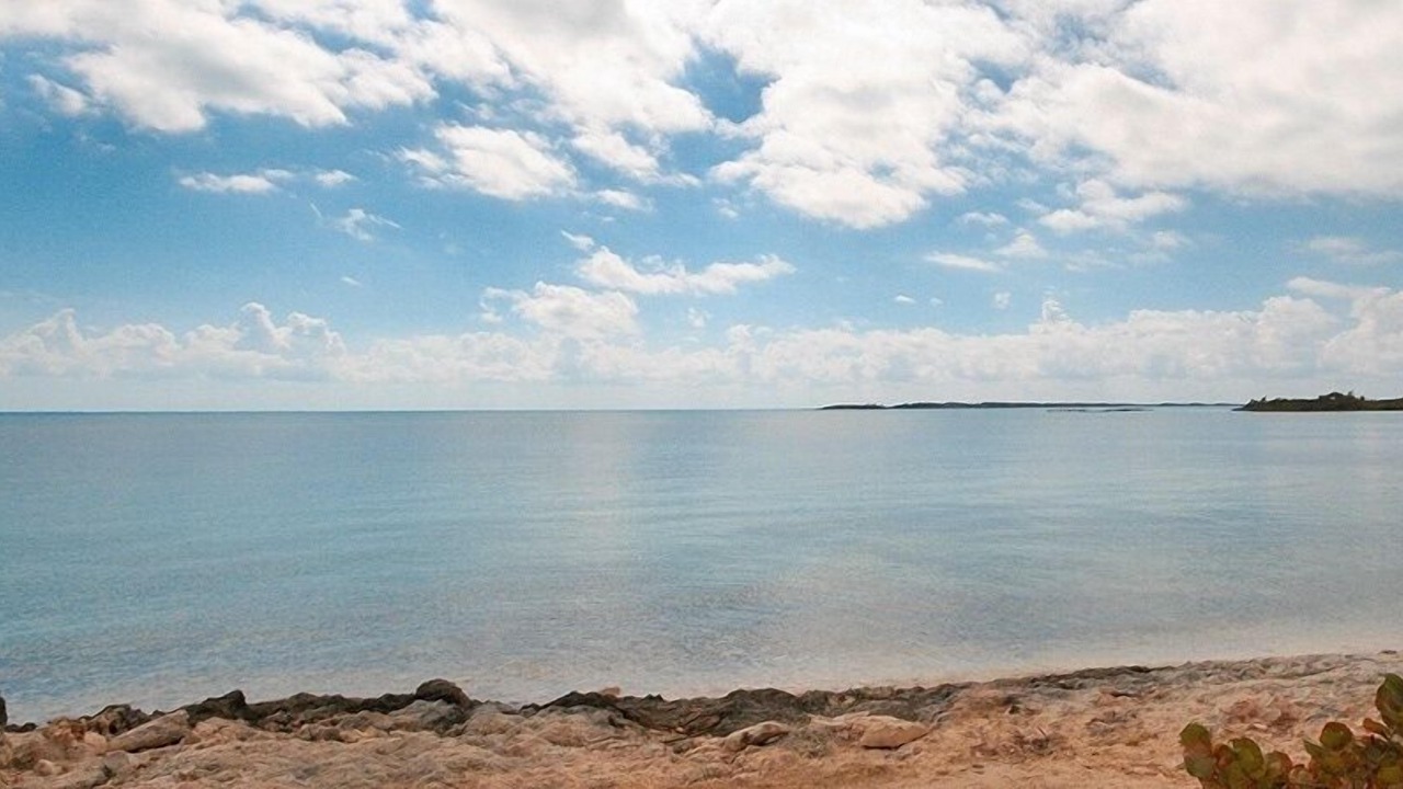 Photo of Others in Spanish Wells
