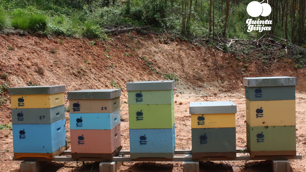 Photo of Outdoor in Maiorga