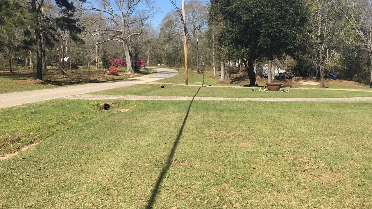 Photo of Others in Picayune