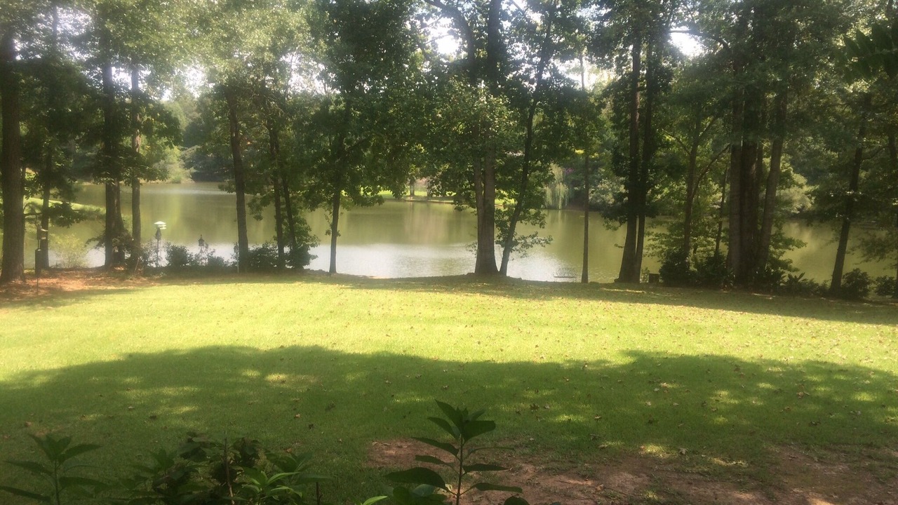 Photo of Outdoor in Auburn - Opelika