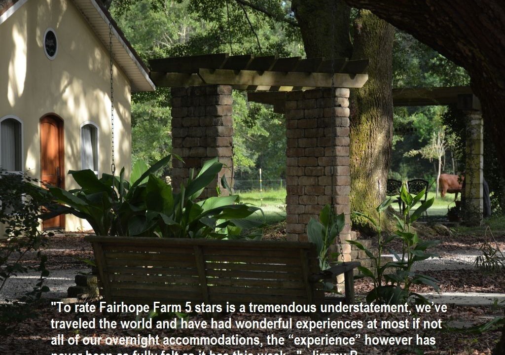 Photo of Outdoor in Fairhope