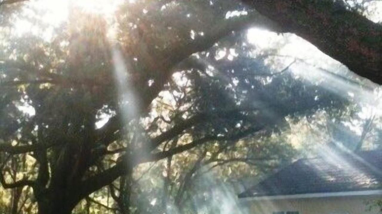 Photo of Outdoor in Fairhope