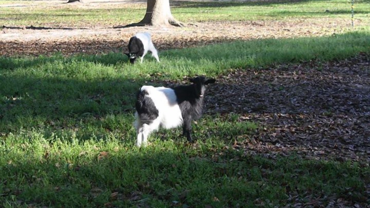 Photo of Others in Fairhope