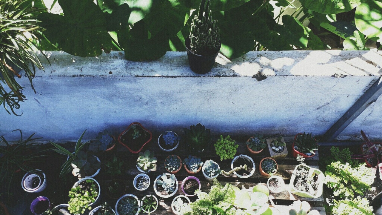 Photo of Outdoor in Nha Trang