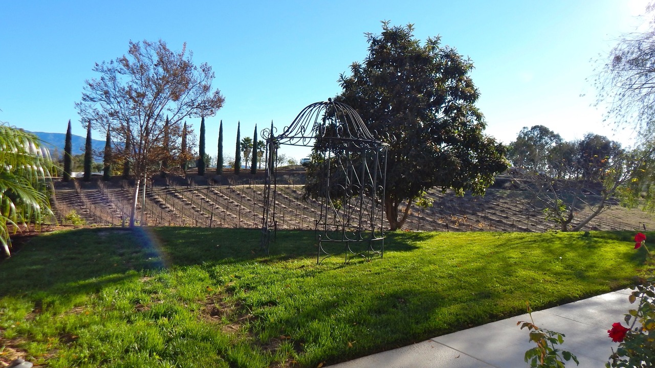 Photo of Outdoor in Temecula