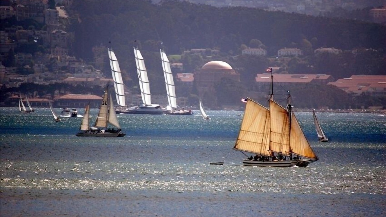 Photo of Others in Belvedere Tiburon