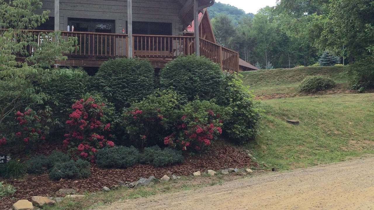 Photo of Outdoor in Maggie Valley