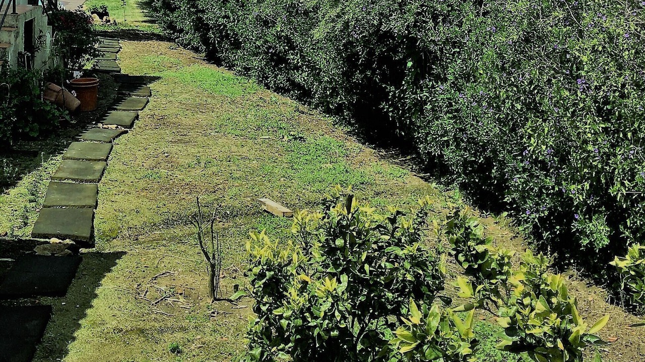 Photo of Outdoor in Casal do Pardo