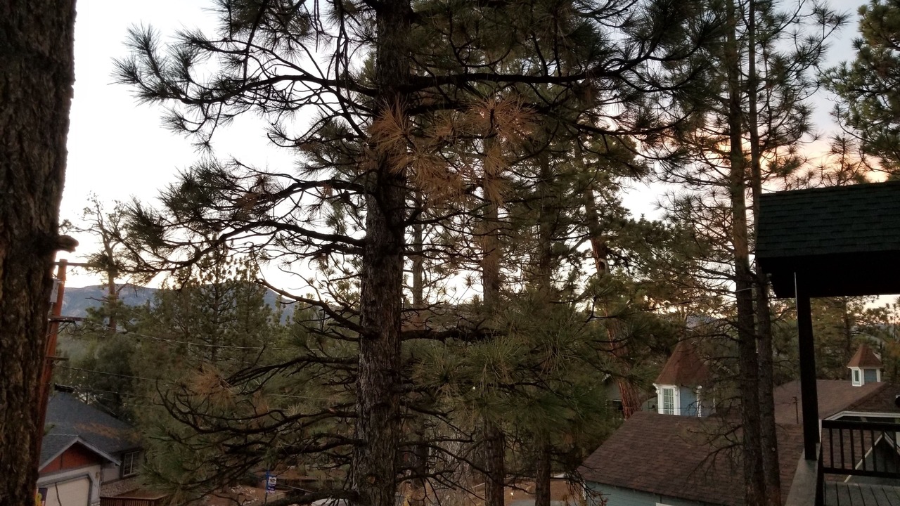 Photo of Others in Big Bear City