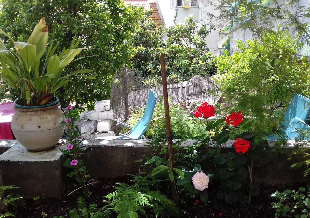 Photo of Outdoor in Santa Engracia