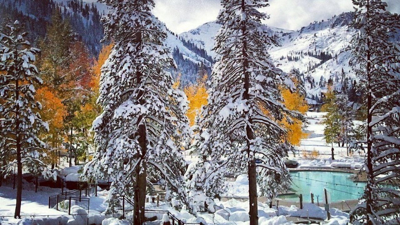Photo of Others in Olympic Valley