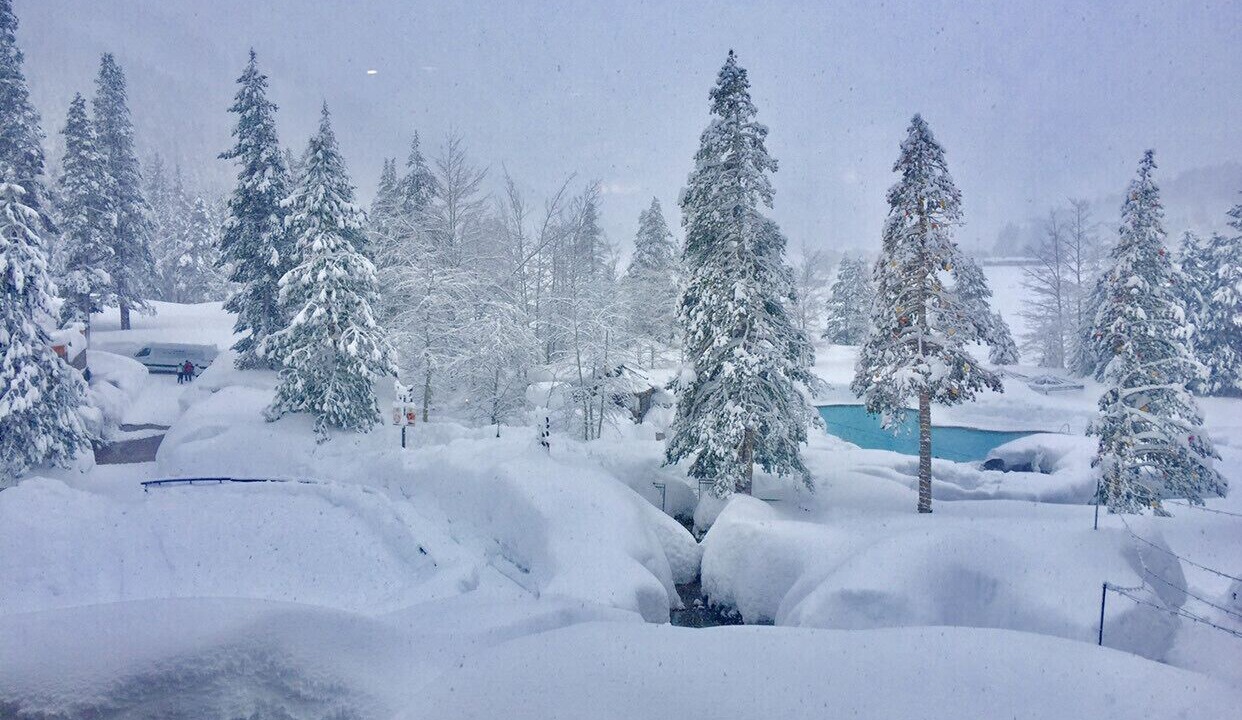 Photo of Others in Olympic Valley