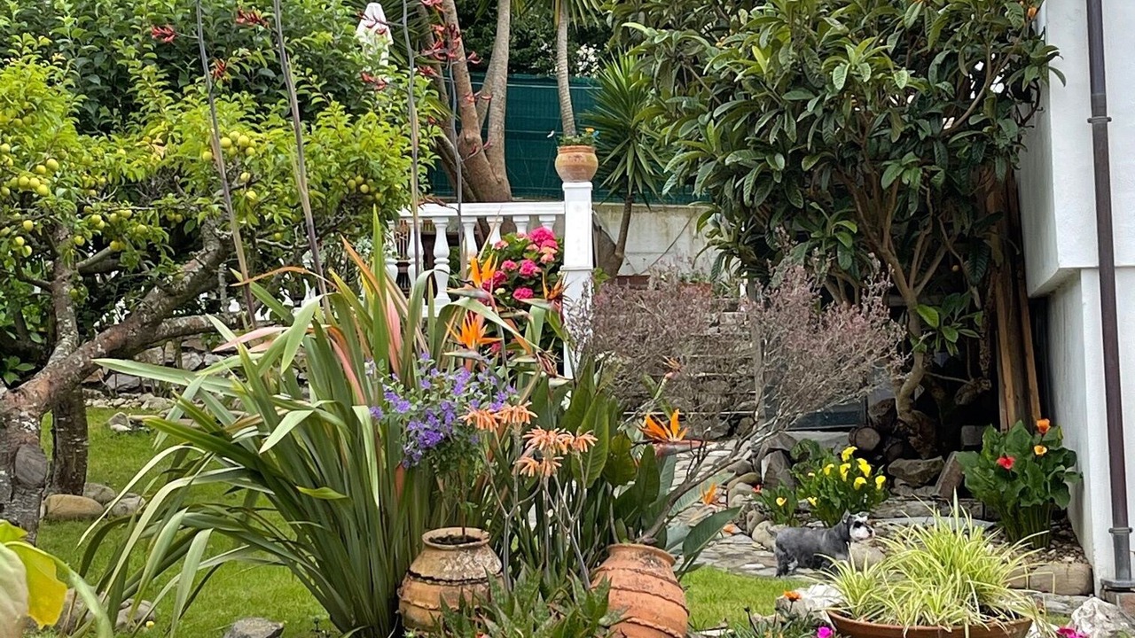 Photo of Outdoor in Luey