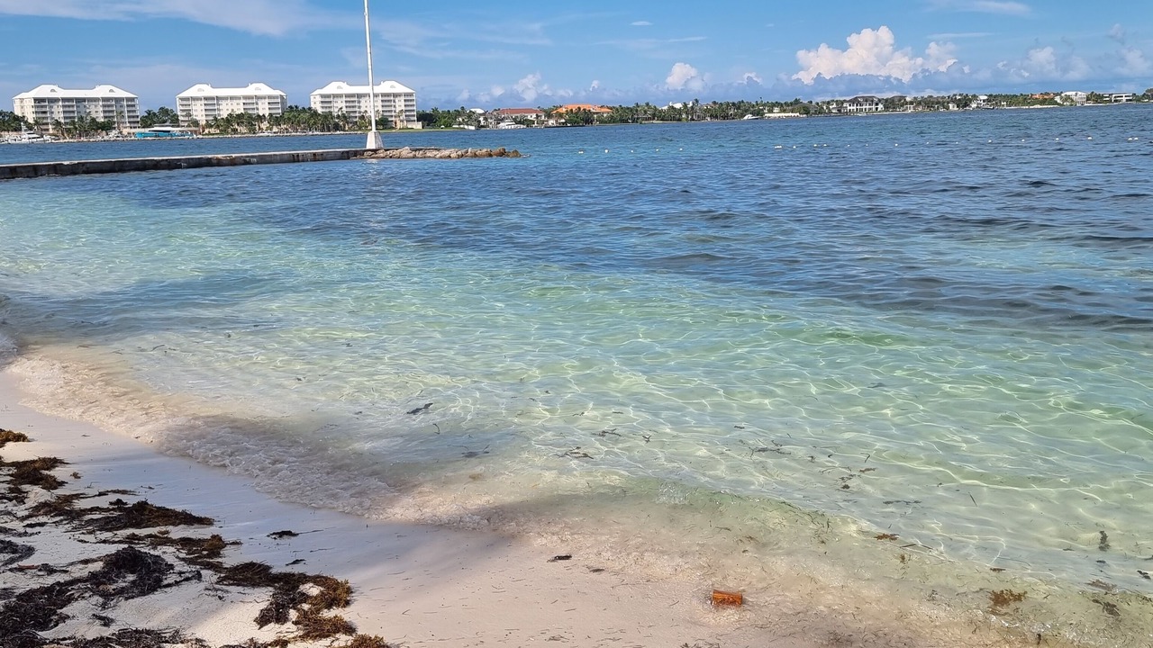 Photo of Others in Nassau