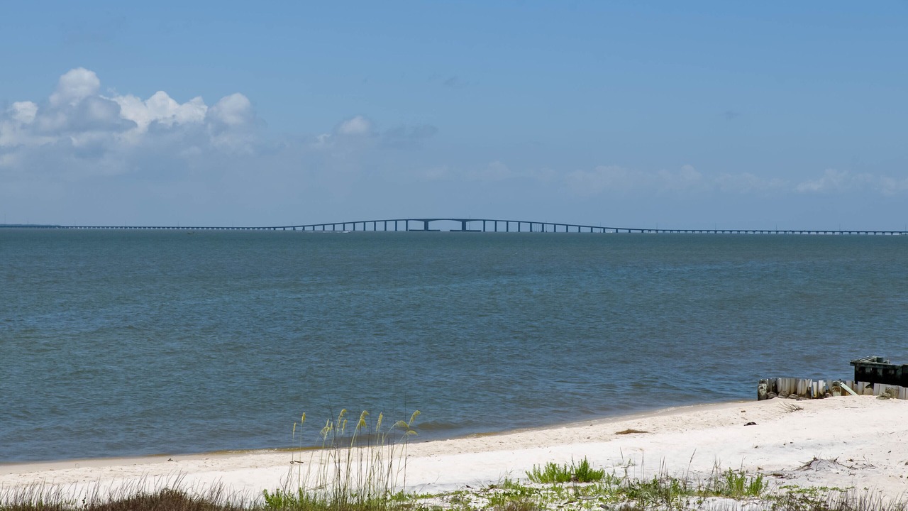 Photo of Others in Silver Cay