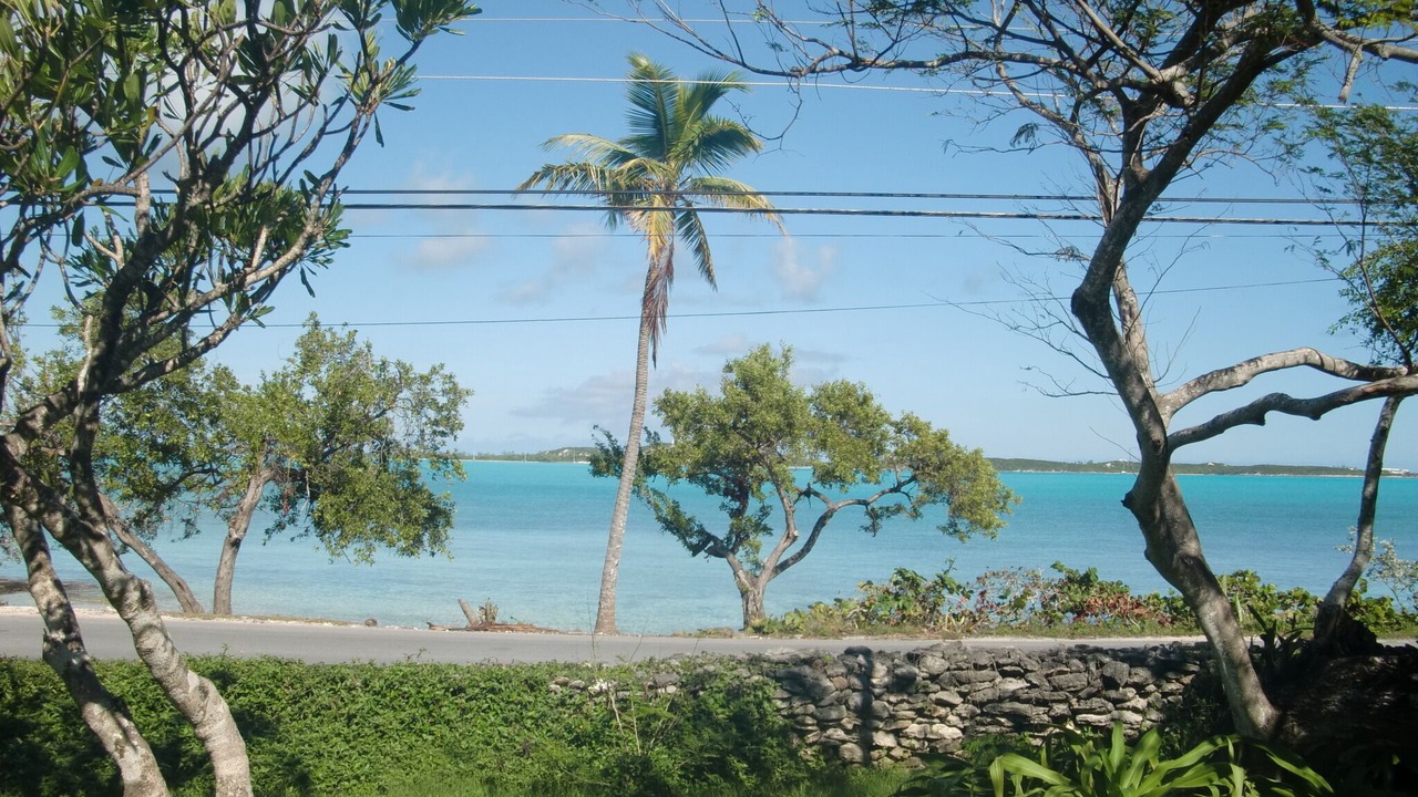 Photo of Others in George Town
