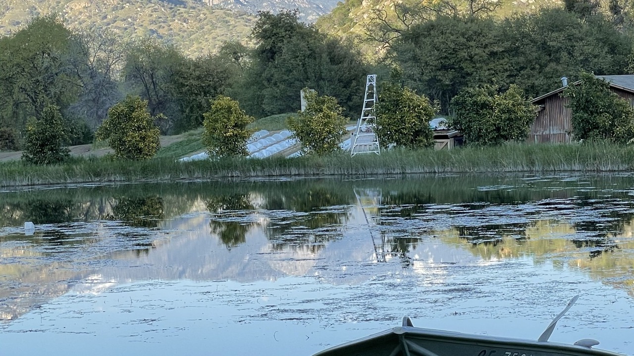 Photo of Outdoor in Three Rivers
