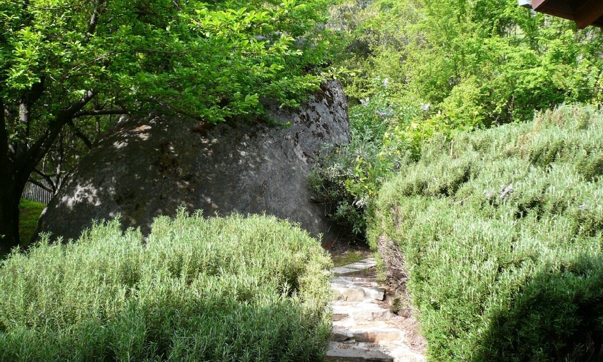 Photo of Outdoor in Three Rivers