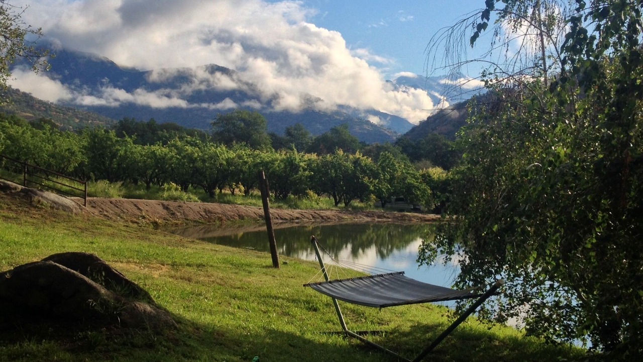 Photo of Outdoor in Three Rivers