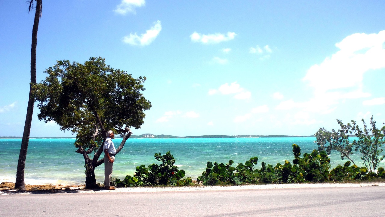 Photo of Others in George Town
