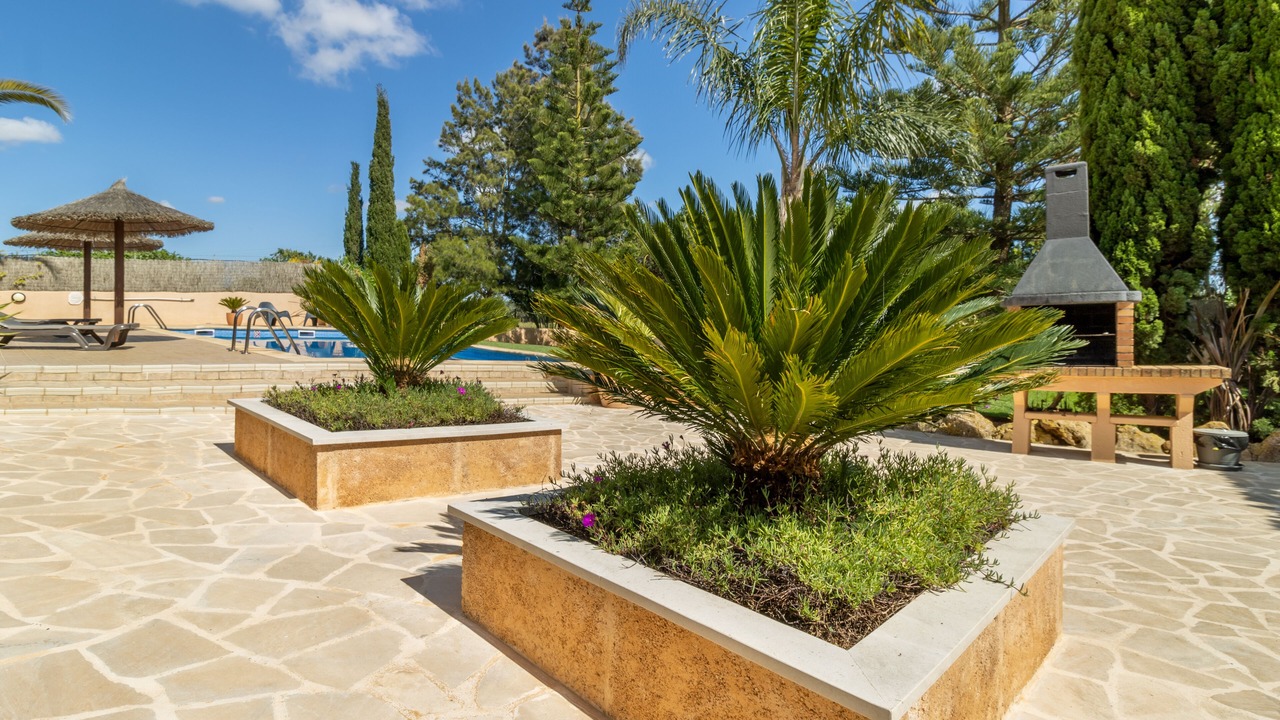 Photo of Outdoor in Campos