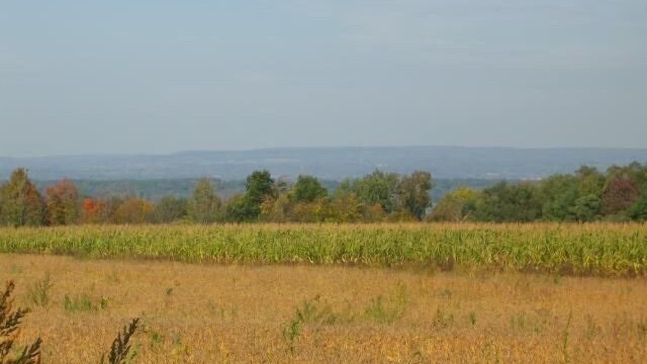 Photo of Outdoor in Valois