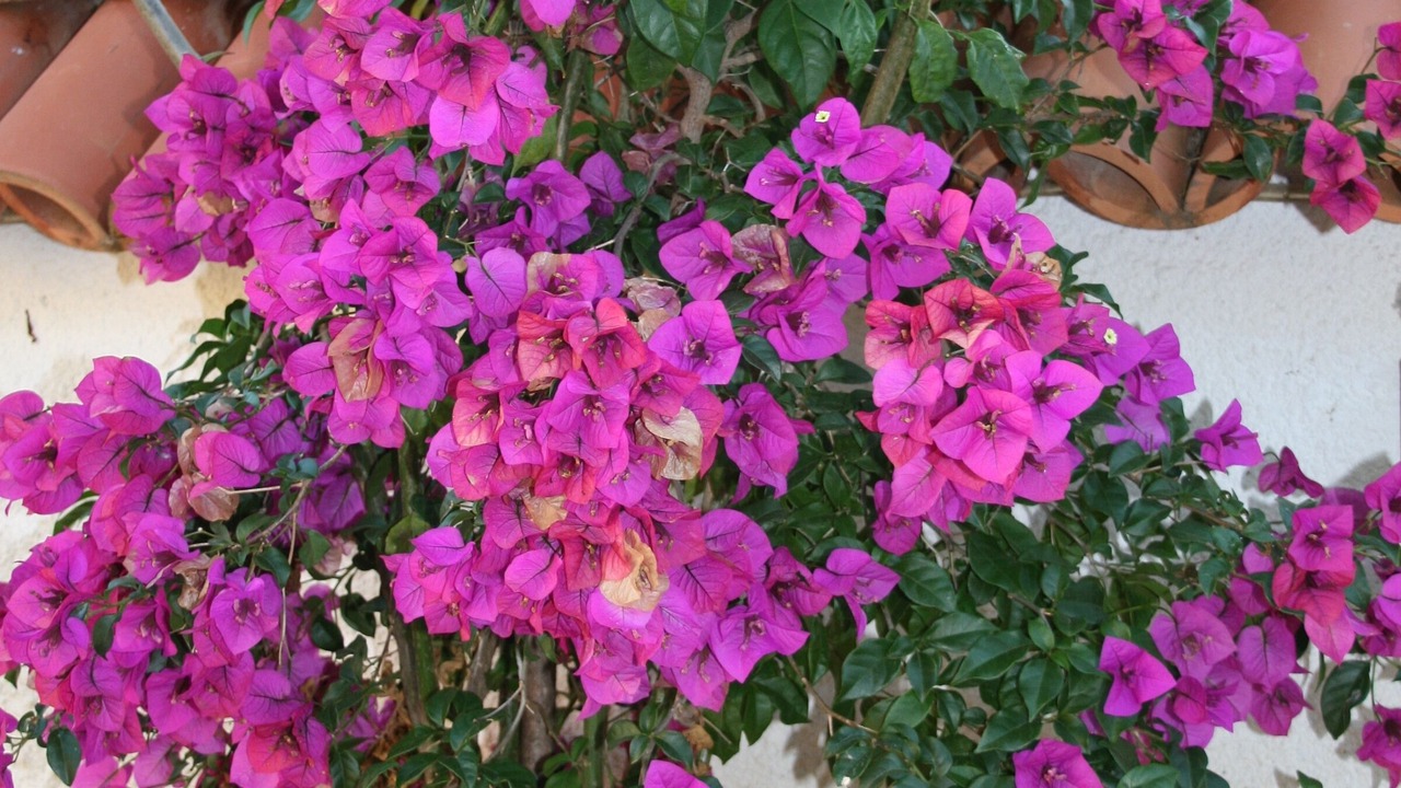 Photo of Outdoor in Ula