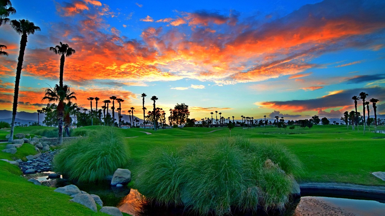 Photo of Others in Palm Desert