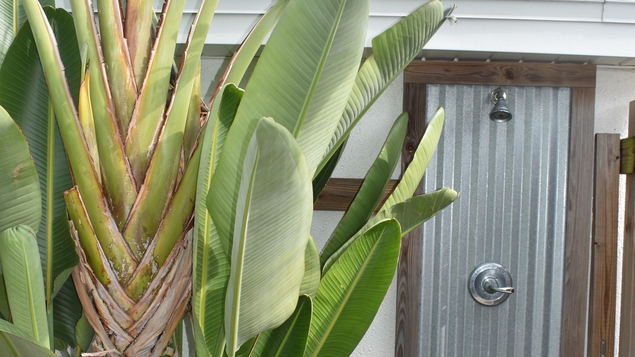 Photo of Outdoor in St. Augustine Beach