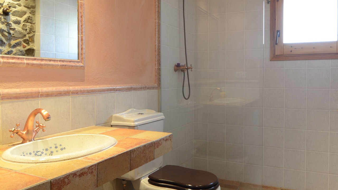 Photo of Bathroom in Sils