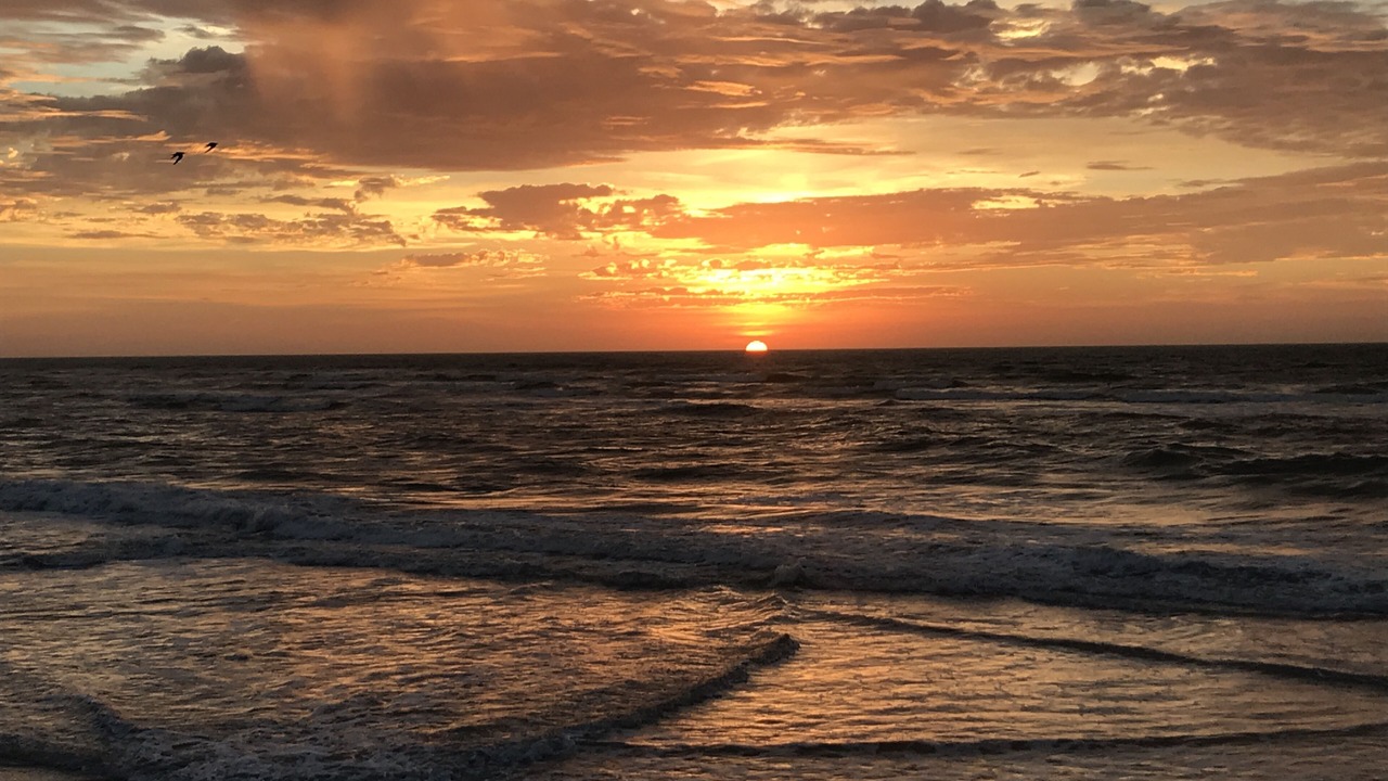 Photo of Others in North Wildwood