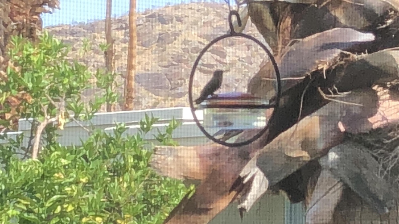 Photo of Outdoor in Araby Commons