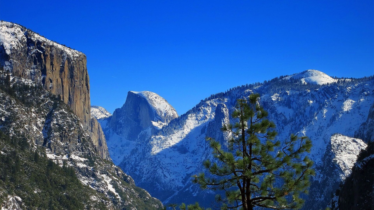 Photo of Others in Yosemite West