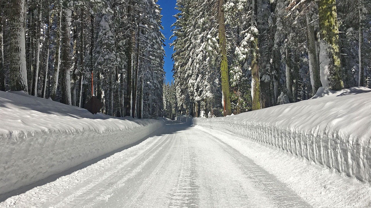 Photo of Others in Yosemite West