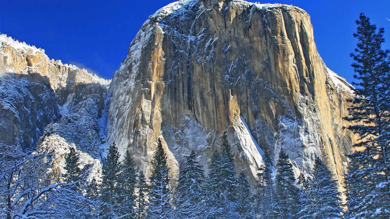 Photo of Others in Yosemite West