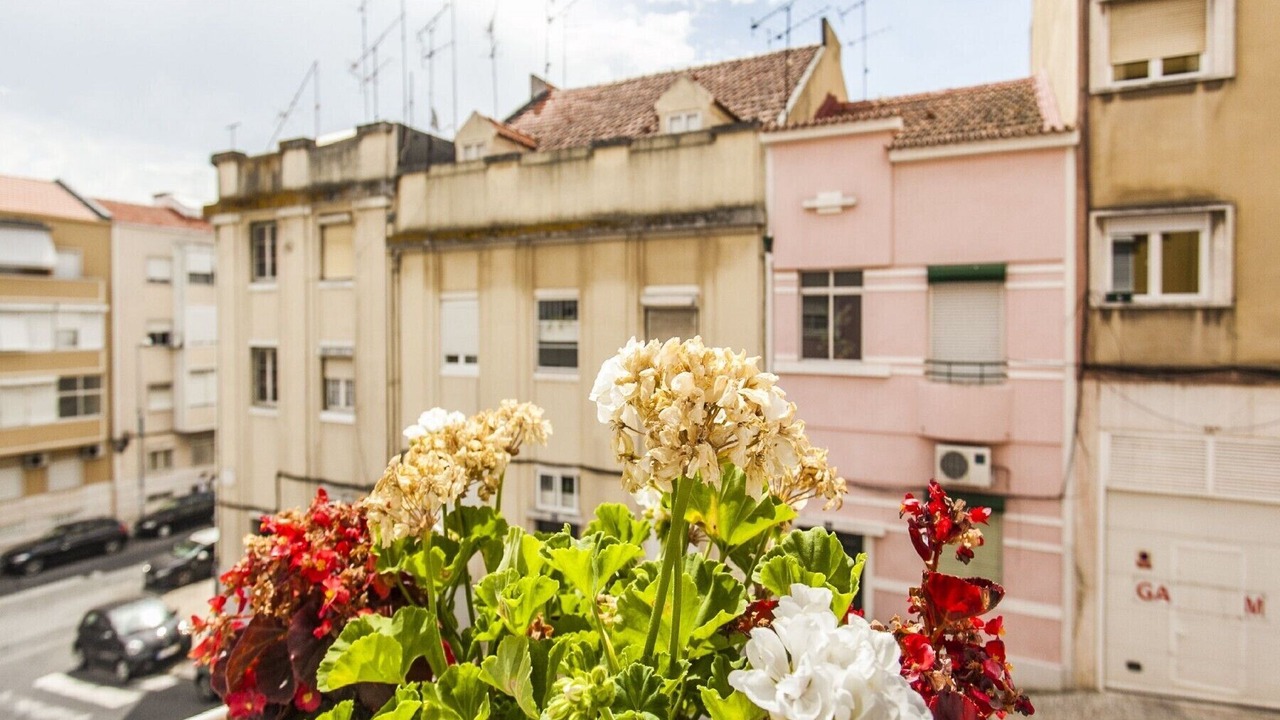 Photo of Others in Penha de Franca