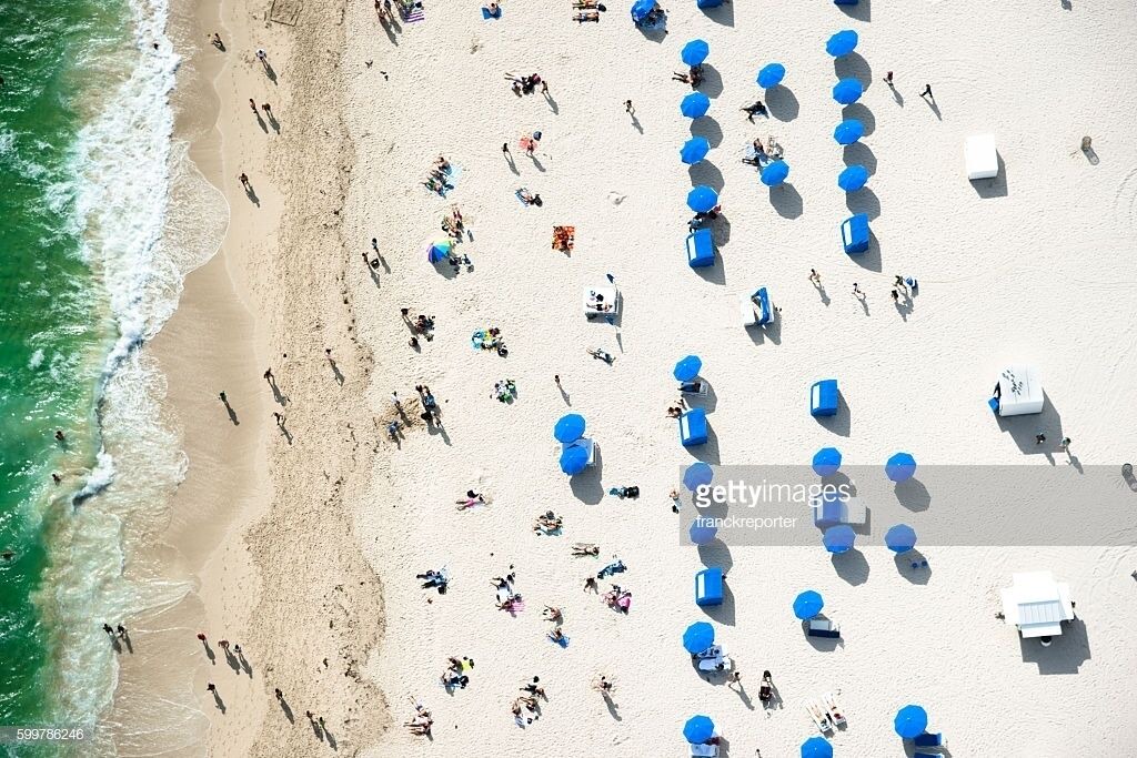 Photo of Others in Flamingo/Lummus