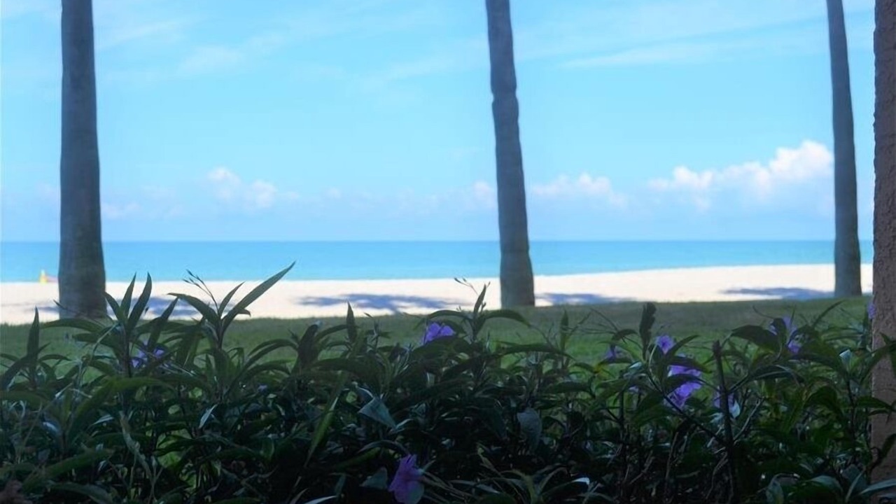 Photo of Others in Longboat Key