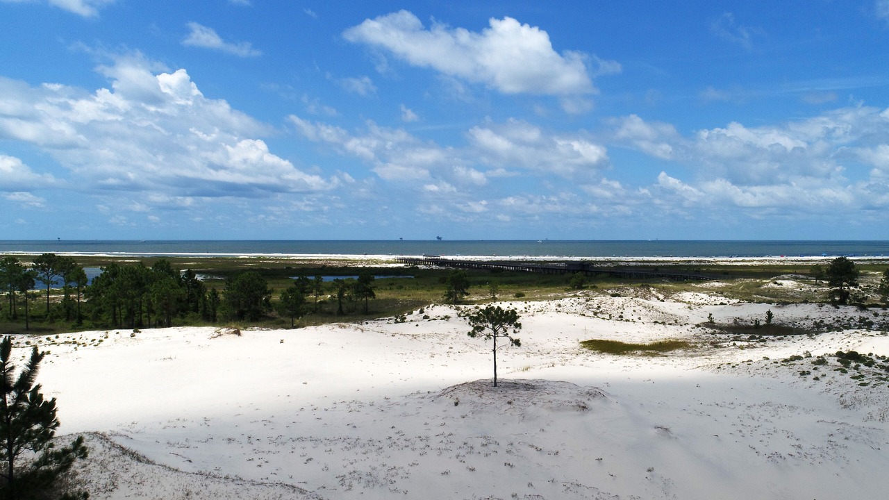 Photo of Others in Dauphin Island