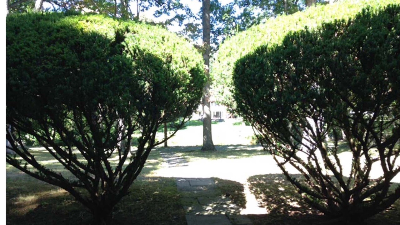 Photo of Outdoor in North Stamford