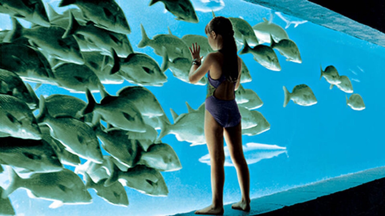 Photo of Others in Paradise Island