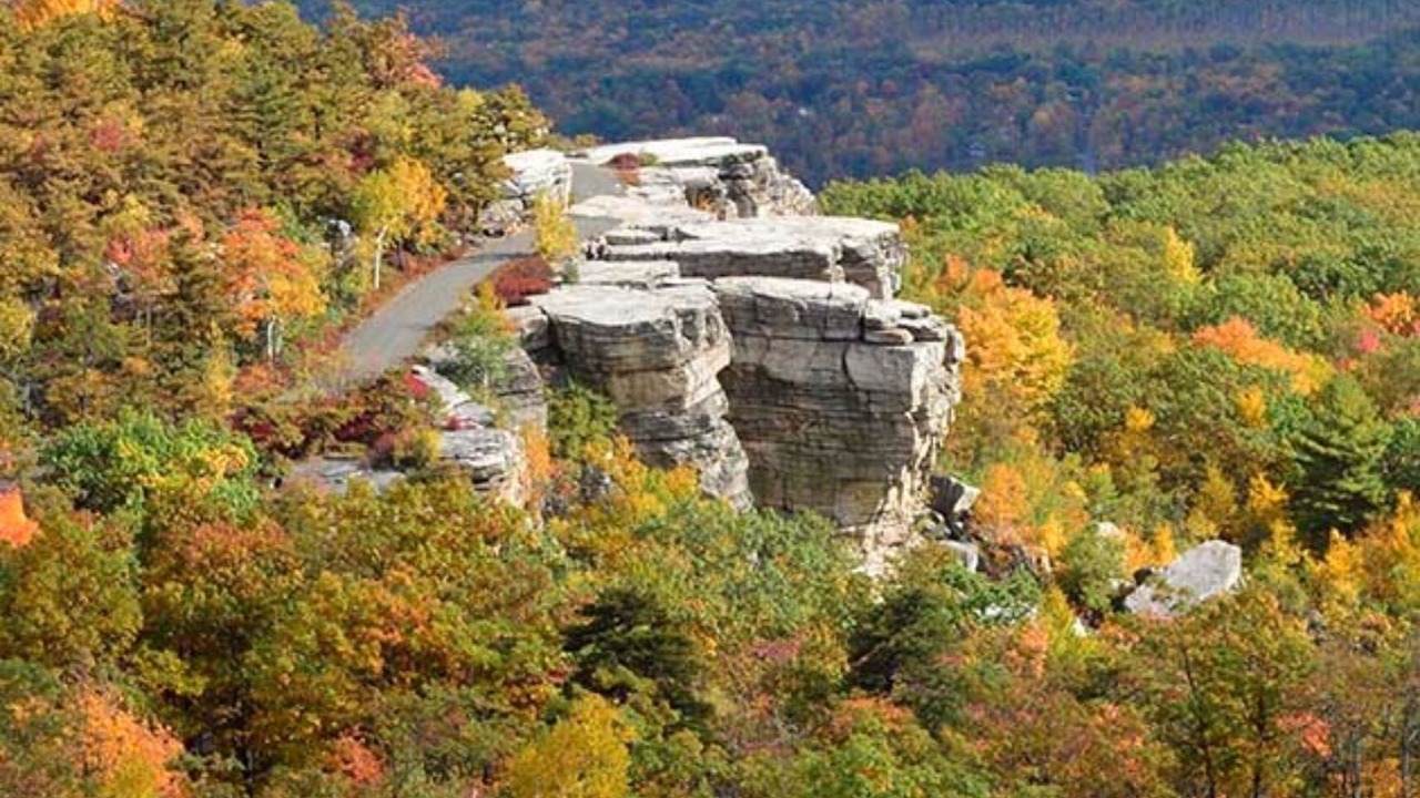 Photo of Outdoor in Pine Bush