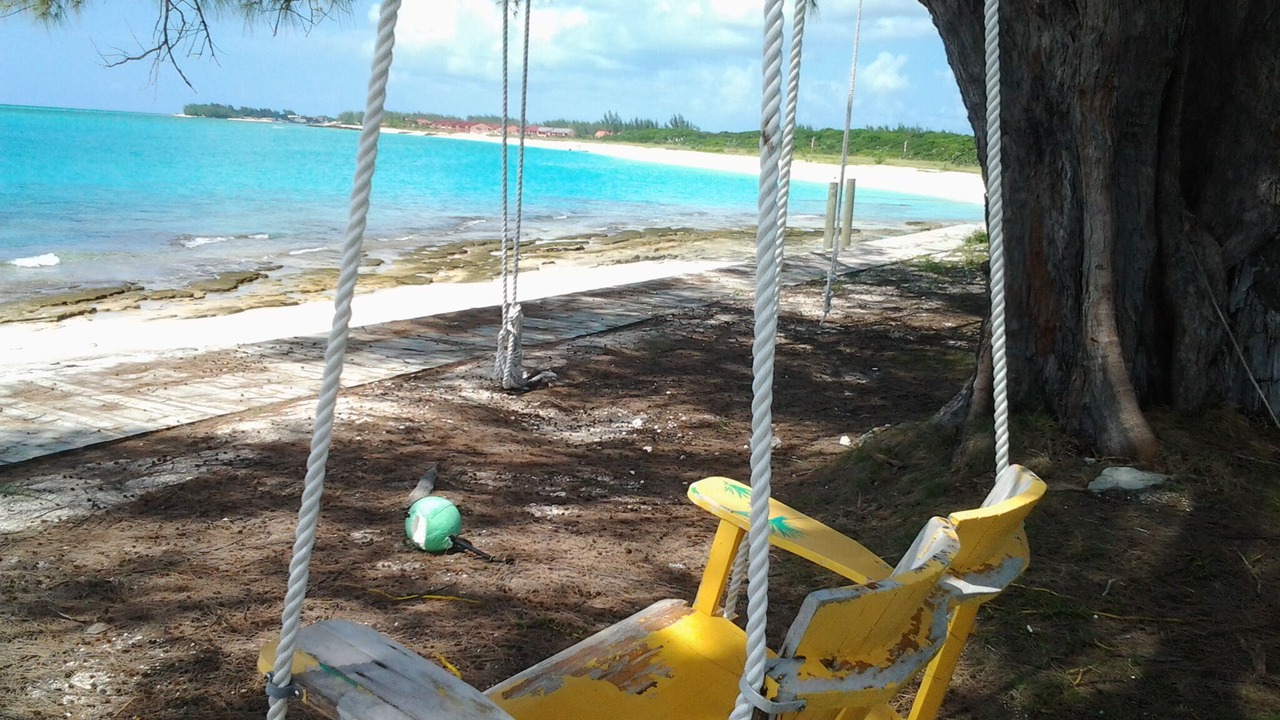 Photo of Others in Port Royal